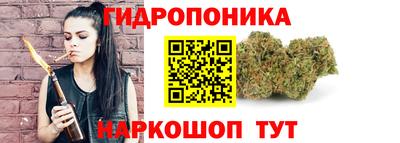 гашик Мариинск