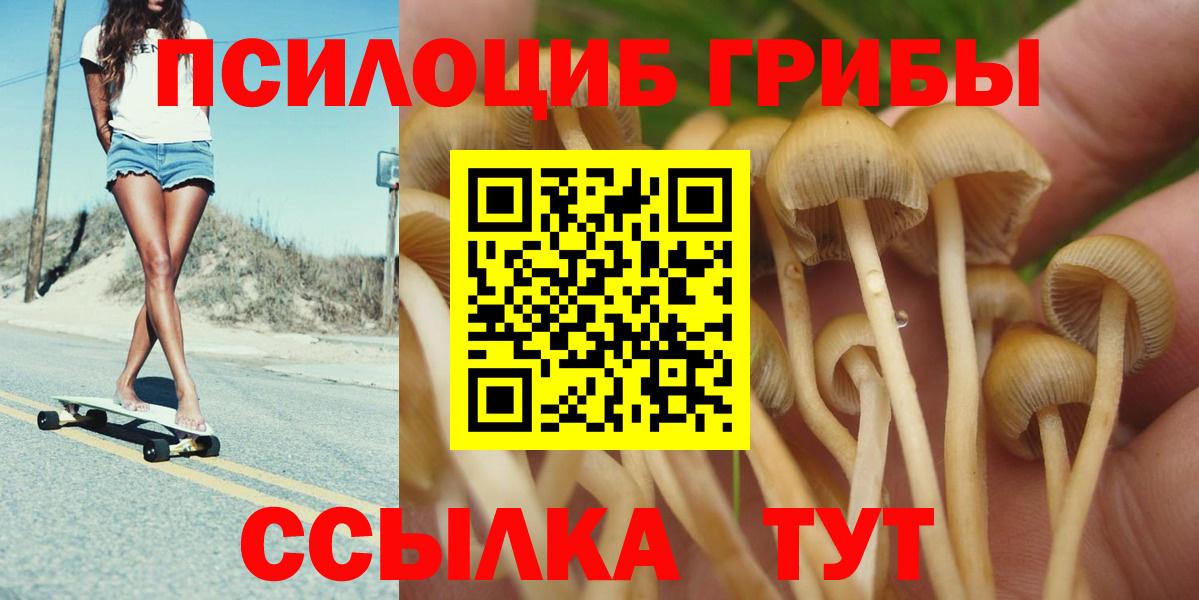 Узловая  Псилоцибиновые грибы GOLDEN TEACHER  Вход с VPN 